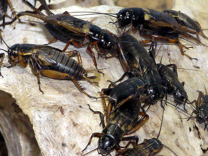 “Therapeutic? You Have No Idea”: 67 Times People Got Savage Revenge On A Cheater And Had Zero Remorse