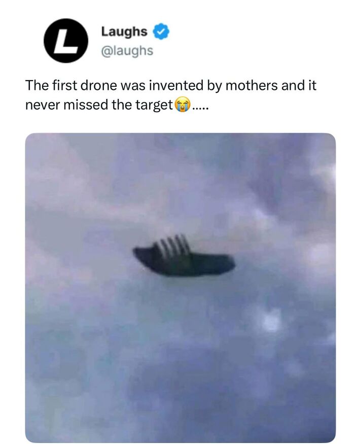 Funny meme showing a flying fork as a drone, highlighting humor in memes to look at for a break from responsibility.