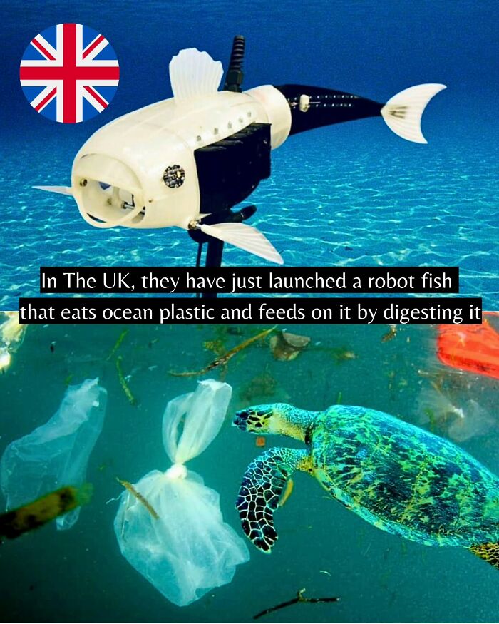 Robot fish launched in the UK designed to eat and digest ocean plastic, highlighting good news from around the world.