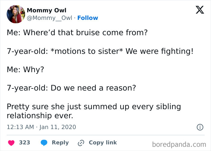 Tweet showing a humorous sibling rivalry conversation about a bruise and fighting between a 7-year-old and their sister.