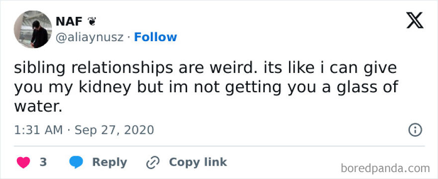 Tweet about sibling relationships described as weird, illustrating adult sibling rivalry and complex family dynamics online. Tweet about sibling relationships described as weird, illustrating adult sibling rivalry and complex family dynamics online.