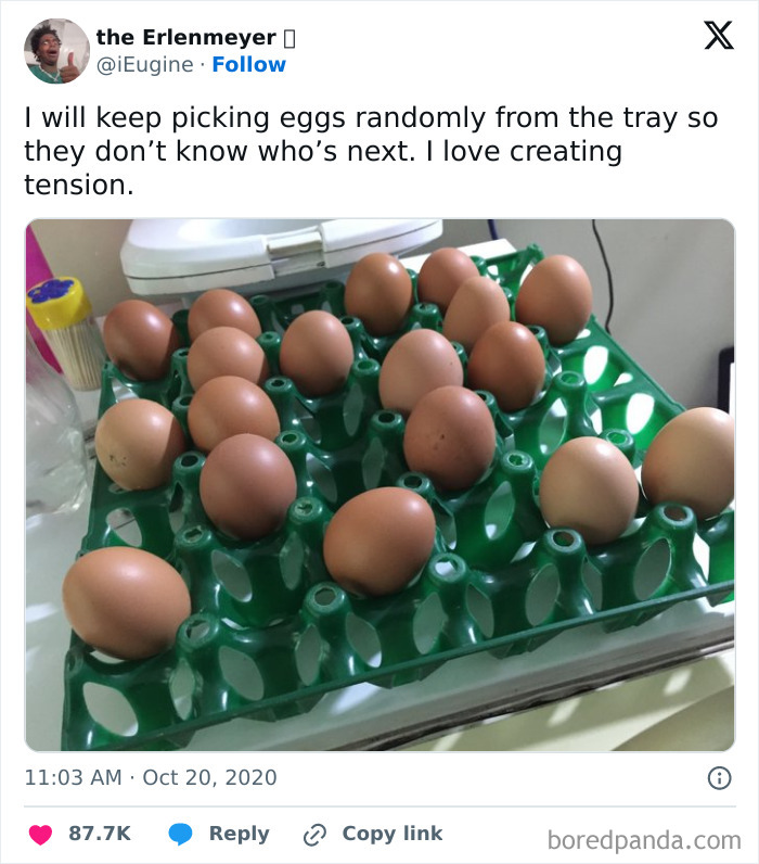 Tray of brown eggs arranged irregularly in a green carton, featured in memes that might cure or worsen an existential crisis.