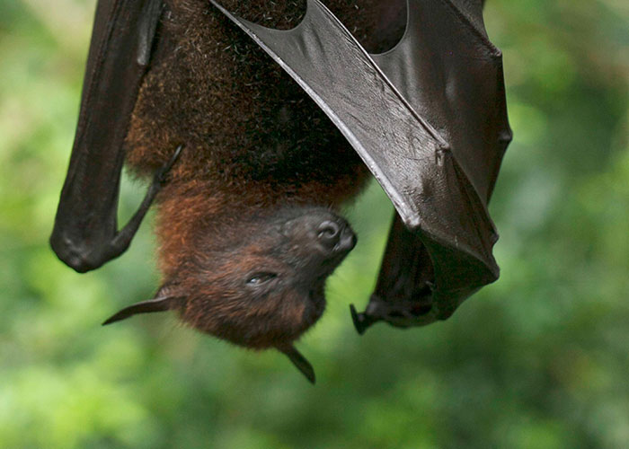 59 Times People’s Sleep Was Disturbed By The Funniest Or Most Terrifying Reasons