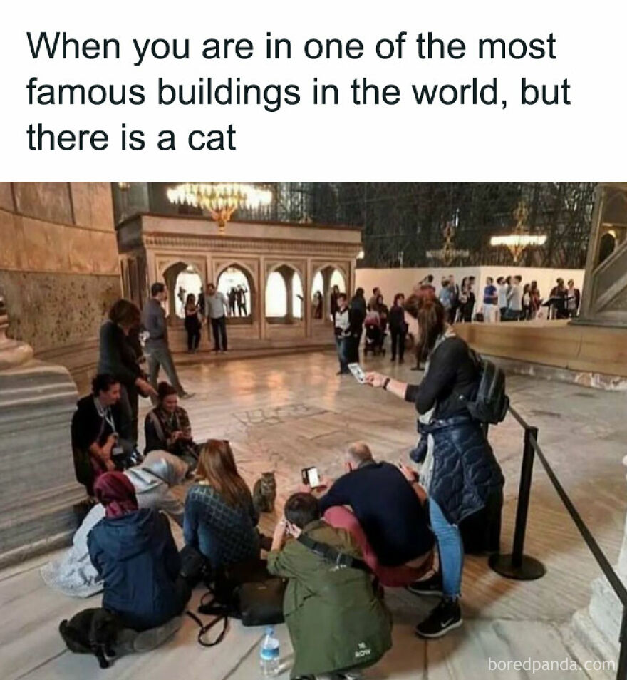 Group of people taking photos of a cat inside a famous building, showcasing popular chucklesome cat memes on the internet.