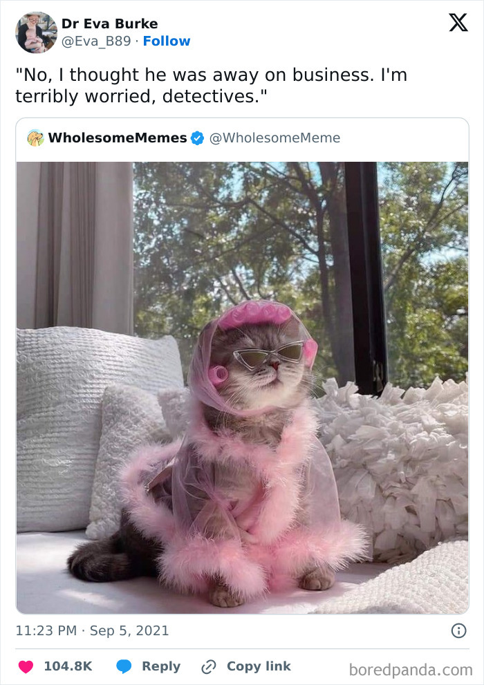 Cat dressed in pink fluffy robe and sunglasses sitting on a couch, funny and relatable meme with ridiculous and random humor.