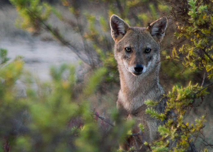 59 Times People’s Sleep Was Disturbed By The Funniest Or Most Terrifying Reasons