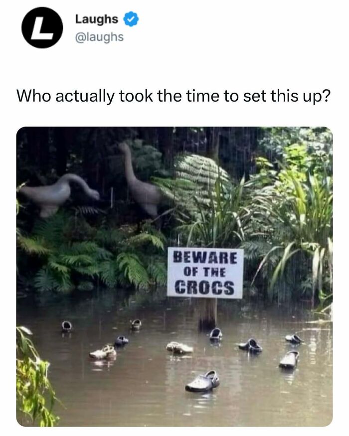 Funny meme showing a pond with floating Crocs and a beware of the crocs sign, perfect for a break from being responsible.