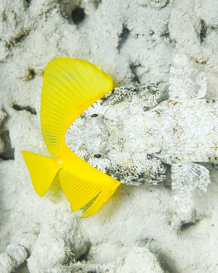 2nd Place Young Photographer Of The Year 2024 - Joao Pontes