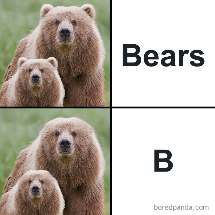 Two brown bears side by side with text illustrating a humorous meme using the word Bears and the letter B.