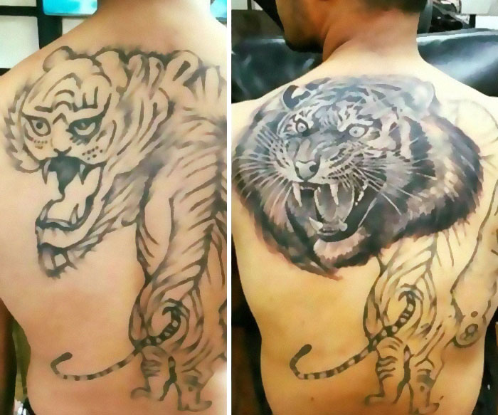 Back tattoos of tigers showing ink fails with uneven and poorly executed designs on shoulders and backs.