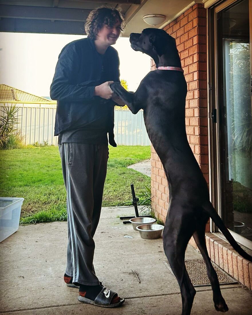 Young man holding paws of a large black dog standing on hind legs, illustrating weird animal laws concept outdoors.