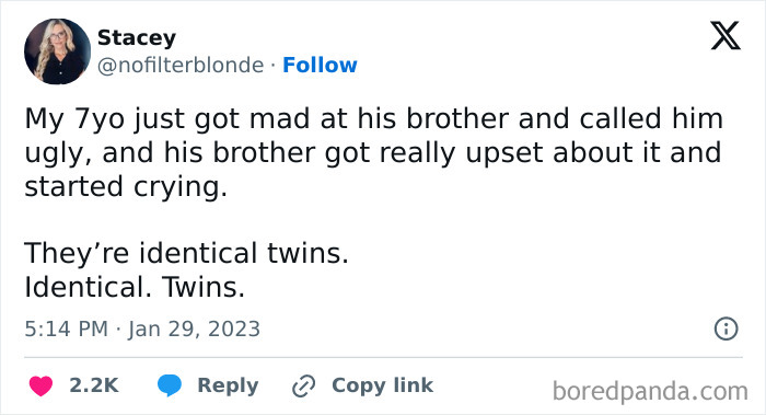 Screenshot of a tweet showing a humorous example of sibling rivalry between identical twin brothers.