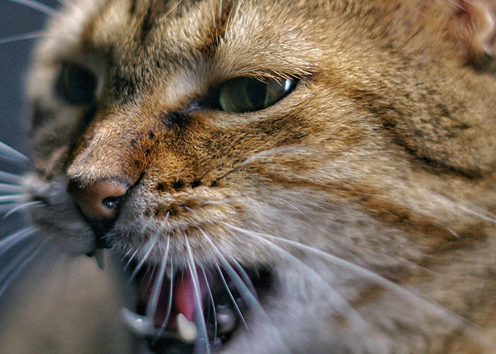 59 Times People’s Sleep Was Disturbed By The Funniest Or Most Terrifying Reasons