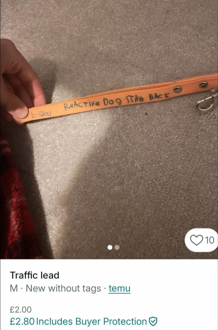 Orange dog leash with handwritten text reactive dog stay back in a humorous Vinted listing.