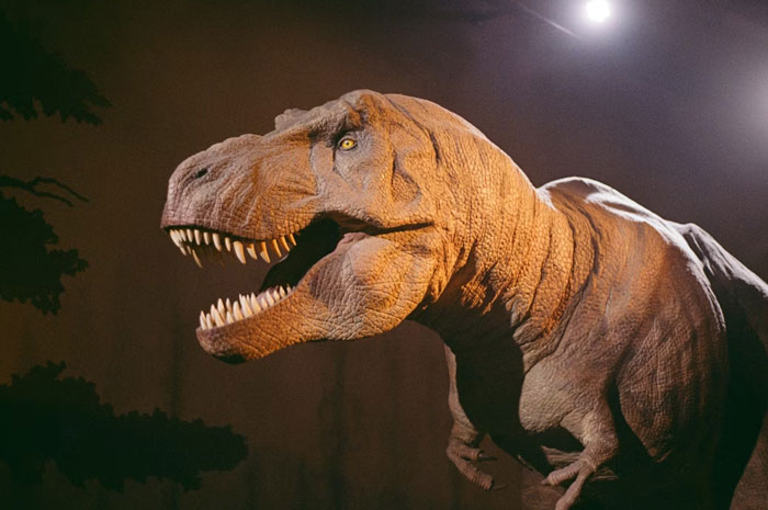 48 Personal Mysteries People Still Haven’t Been Able To Solve