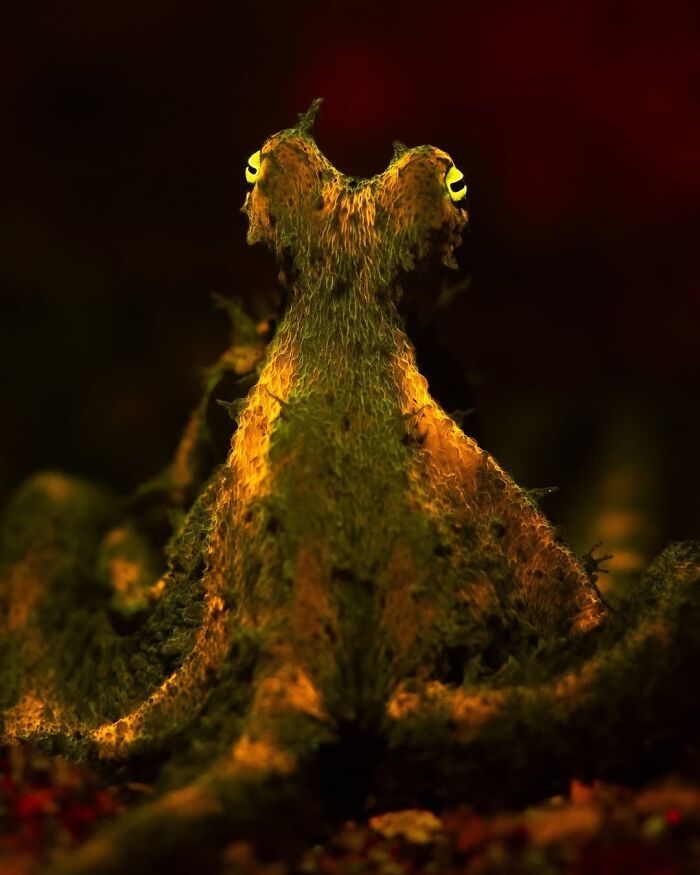 1st Place Young Photographer Of The Year 2024 - Jacob Guy