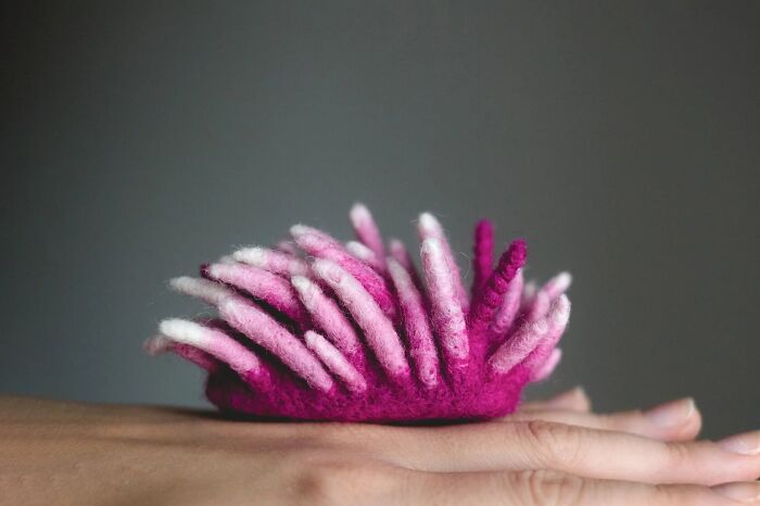 “Okenia Rosacea”