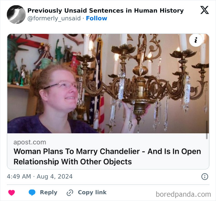 Wild-Funny-New-Sentences