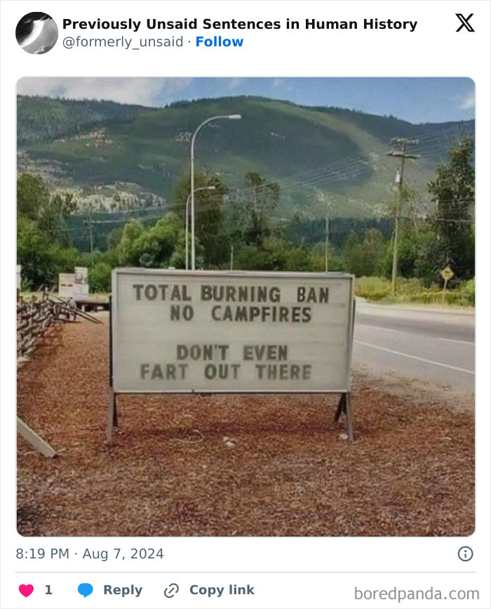 Wild-Funny-New-Sentences