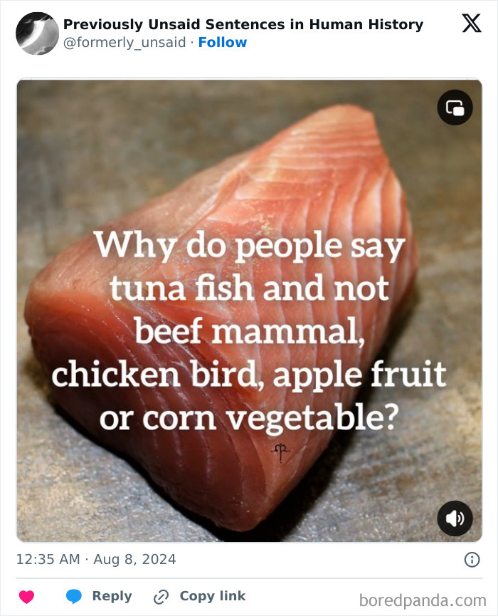 Wild-Funny-New-Sentences