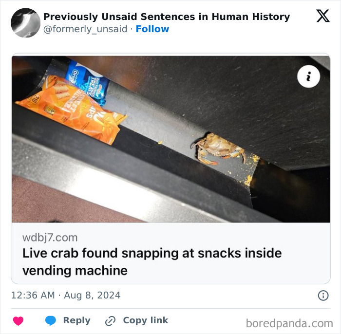 Wild-Funny-New-Sentences