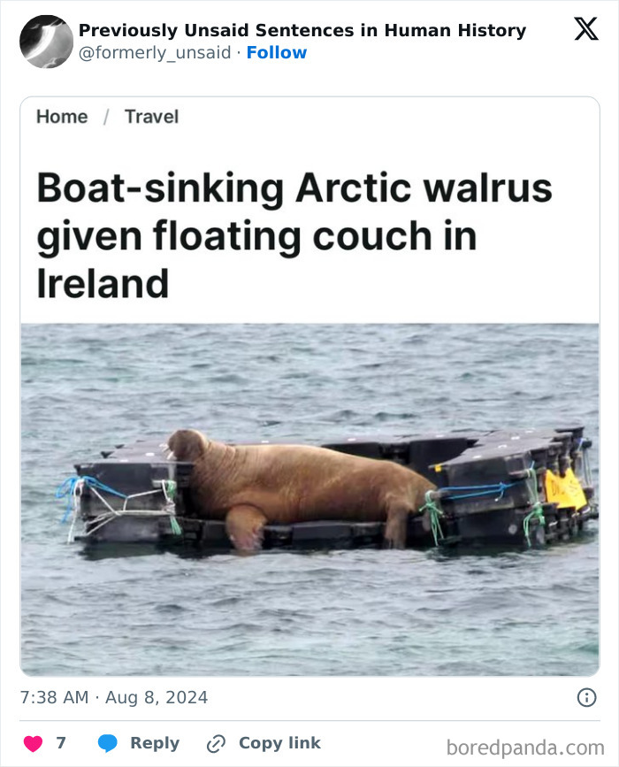 Wild-Funny-New-Sentences