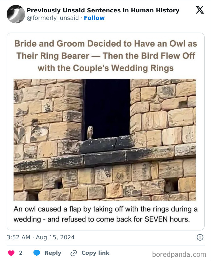 Wild-Funny-New-Sentences