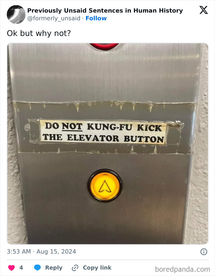 Wild-Funny-New-Sentences