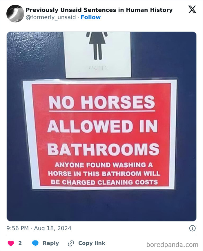 Wild-Funny-New-Sentences