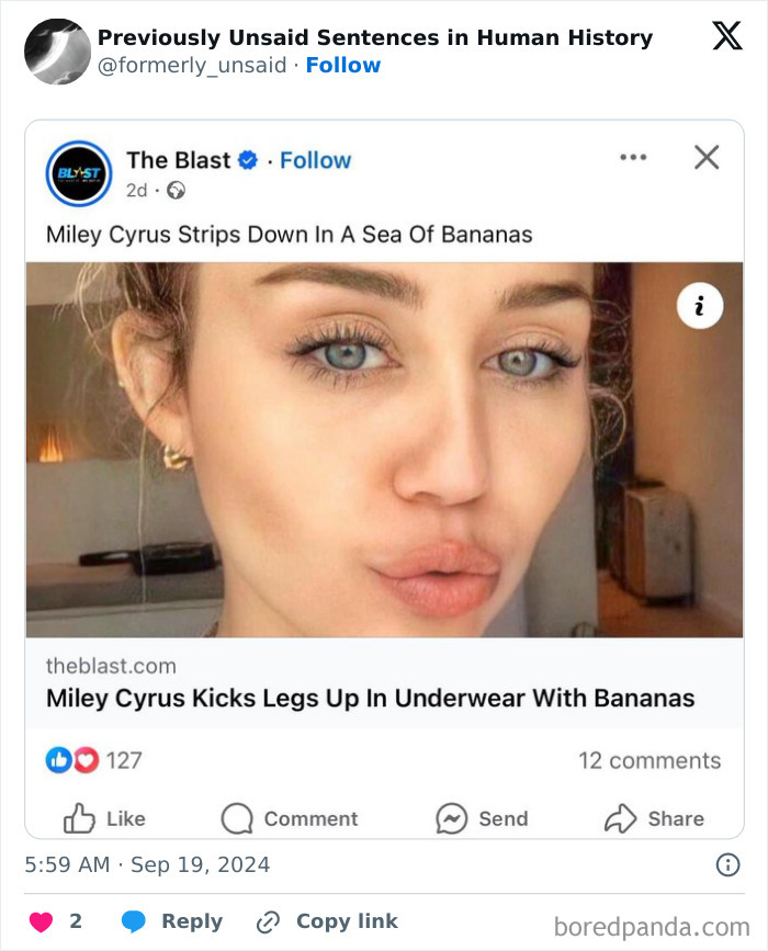 Wild-Funny-New-Sentences