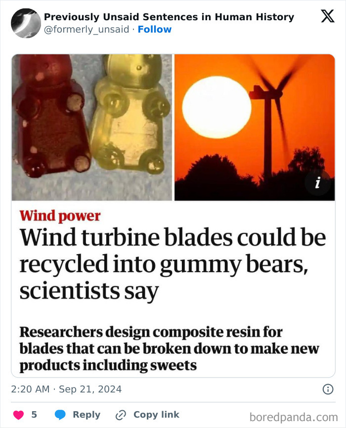 Wild-Funny-New-Sentences