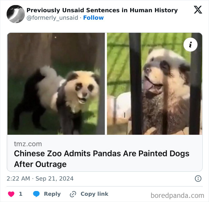 Wild-Funny-New-Sentences