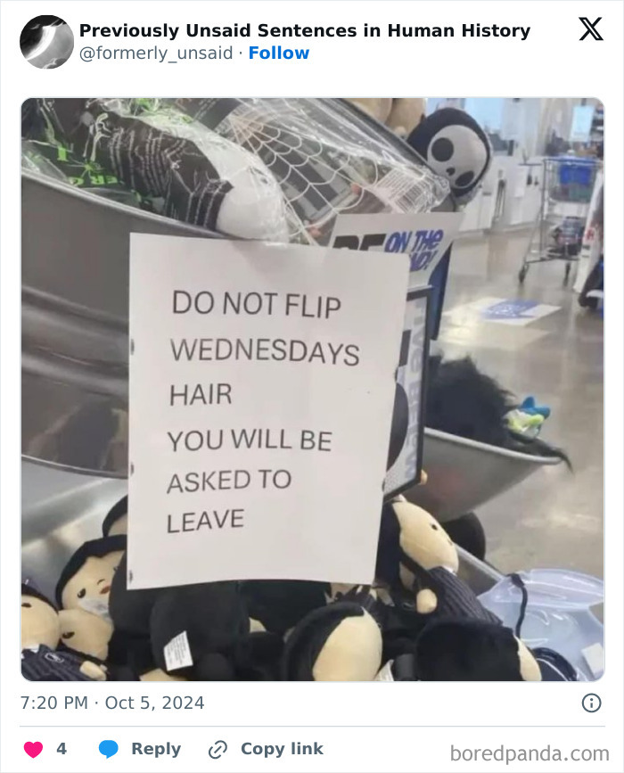 Wild-Funny-New-Sentences