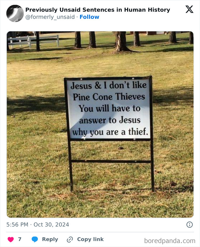 Wild-Funny-New-Sentences