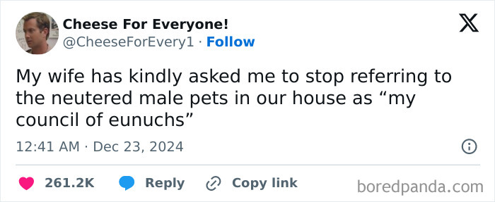 Wild-Funny-New-Sentences