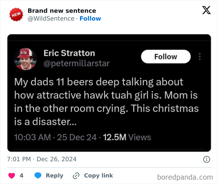 Wild-Funny-New-Sentences