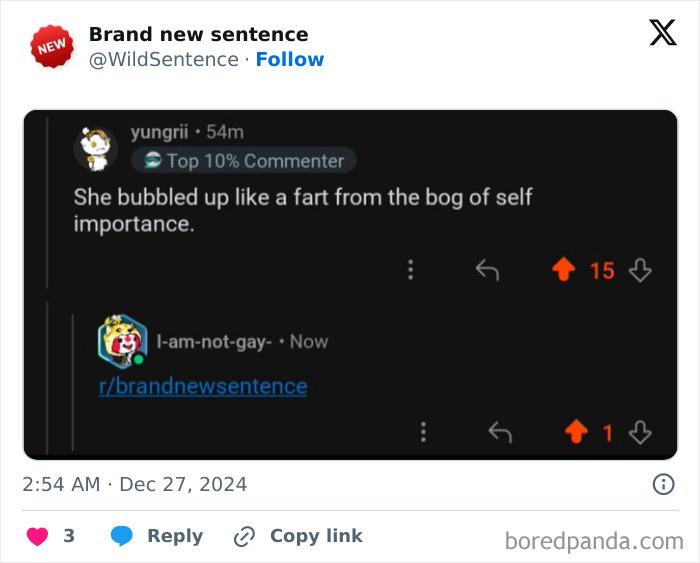 Wild-Funny-New-Sentences