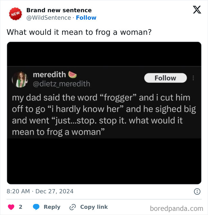 Wild-Funny-New-Sentences