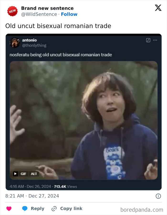 Wild-Funny-New-Sentences