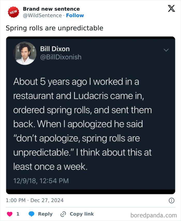 Wild-Funny-New-Sentences