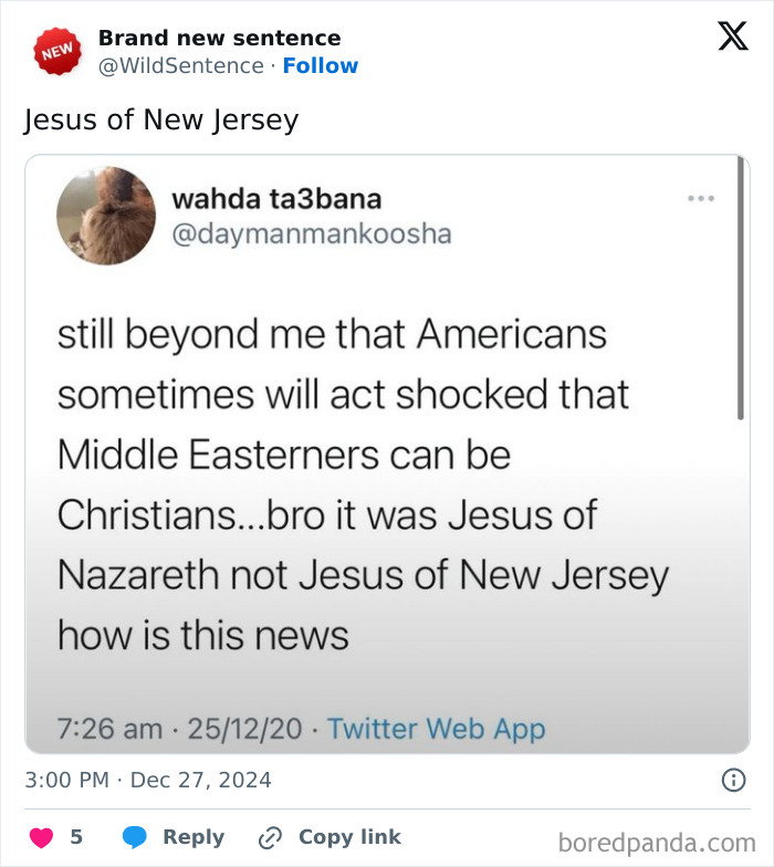 Wild-Funny-New-Sentences