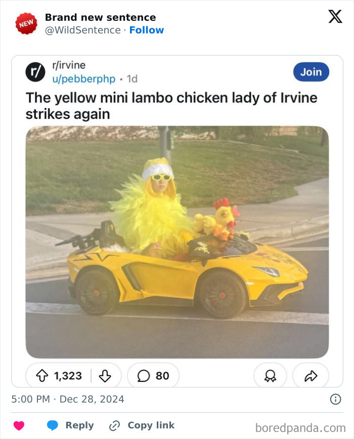 Wild-Funny-New-Sentences