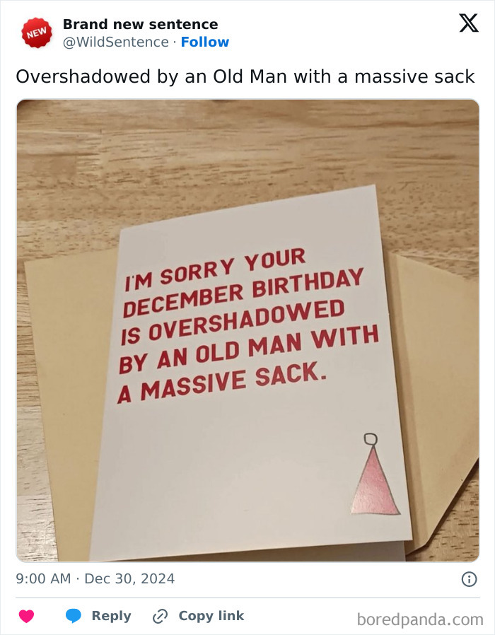 Wild-Funny-New-Sentences