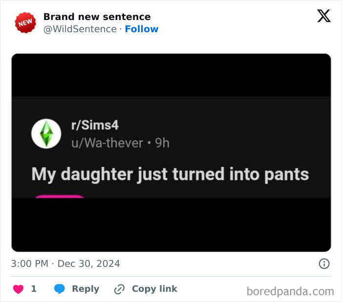 Wild-Funny-New-Sentences