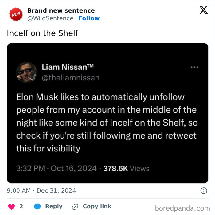 Wild-Funny-New-Sentences