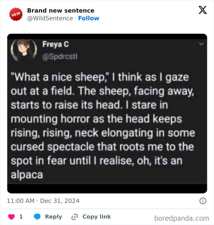 Wild-Funny-New-Sentences