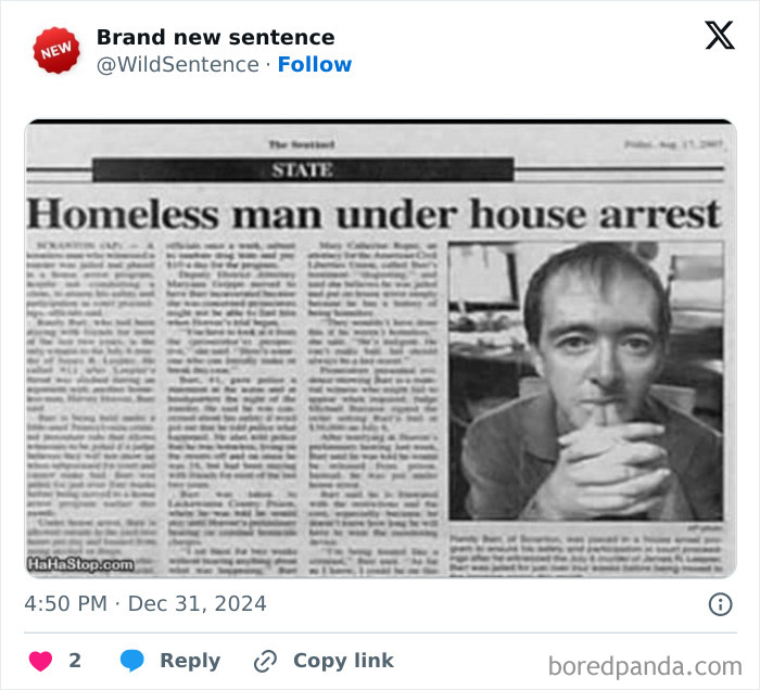 Wild-Funny-New-Sentences