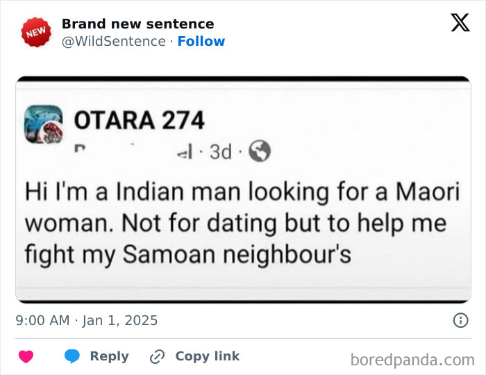 Wild-Funny-New-Sentences