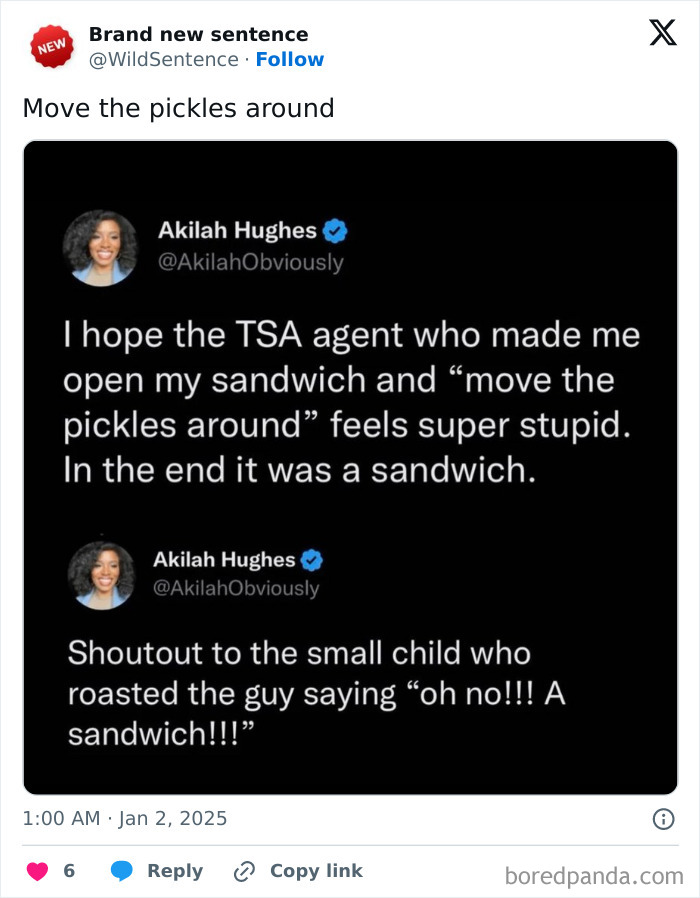 Wild-Funny-New-Sentences