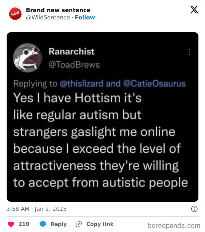 Wild-Funny-New-Sentences